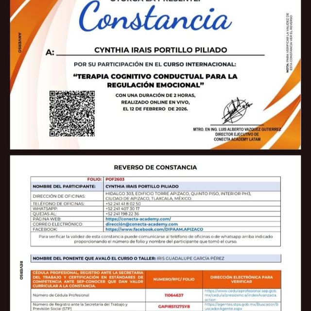 Ampliar imagen: certificate 3