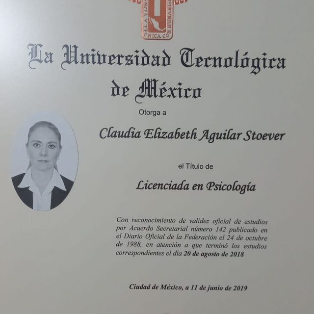 Ampliar imagen: certificate 1
