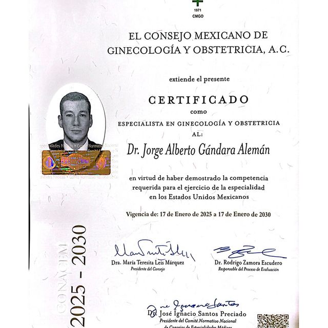 Ampliar imagen: certificate 3