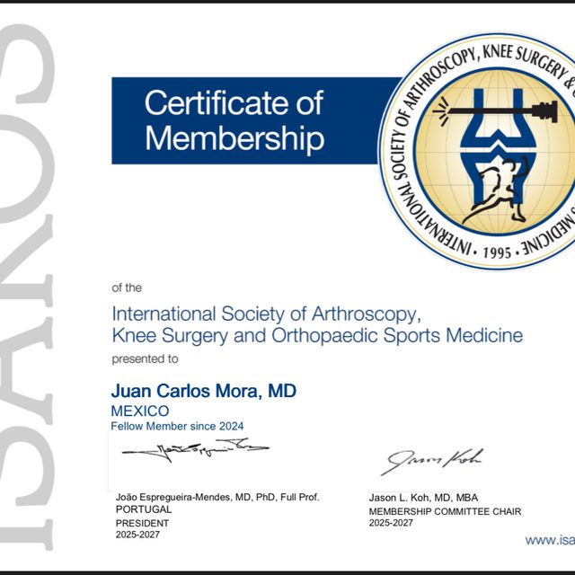 Ampliar imagen: certificate 4