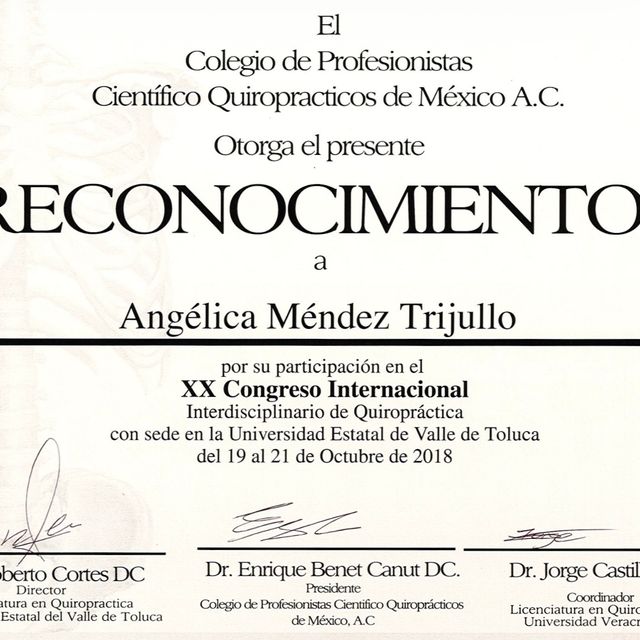 Ampliar imagen: certificate 18