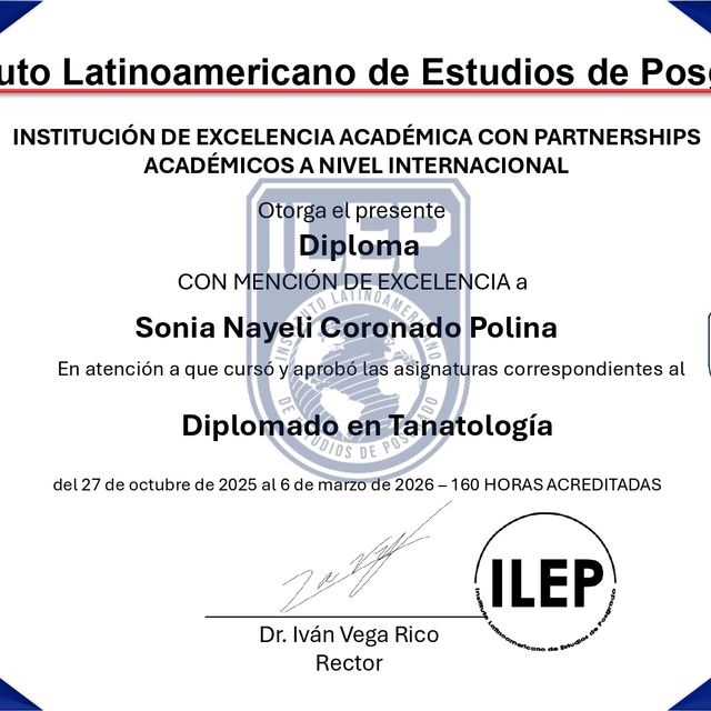 Ampliar imagen: certificate 2