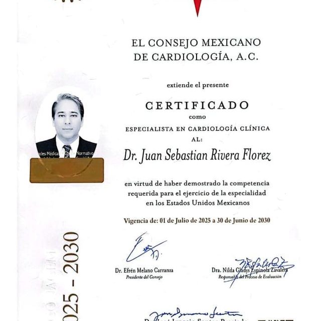 Ampliar imagen: certificate 3