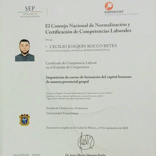 Ampliar imagen: certificate 5