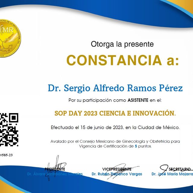 Ampliar imagen: certificate 4