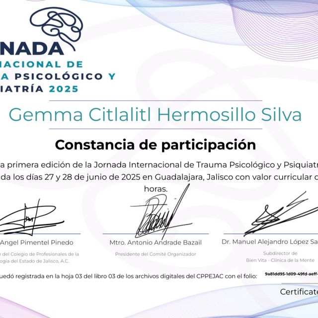 Ampliar imagen: certificate 9
