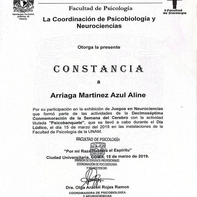 Ampliar imagen: certificate 13