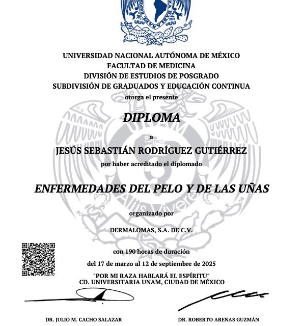 Ampliar imagen: certificate 2