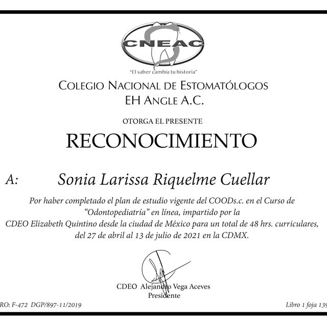 Ampliar imagen: certificate 1