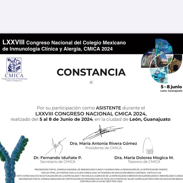 Ampliar imagen: certificate 2