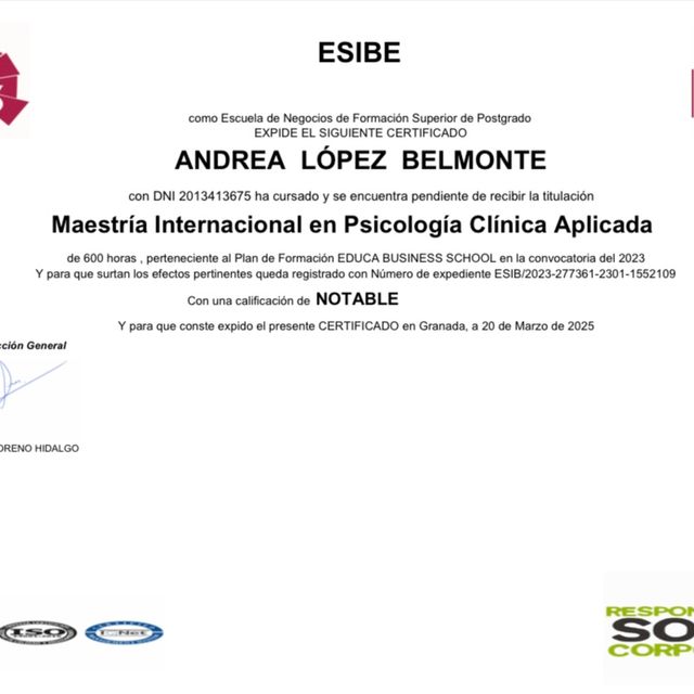 Ampliar imagen: certificate 3