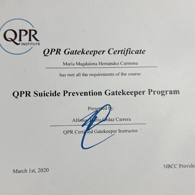 Ampliar imagen: certificate 1