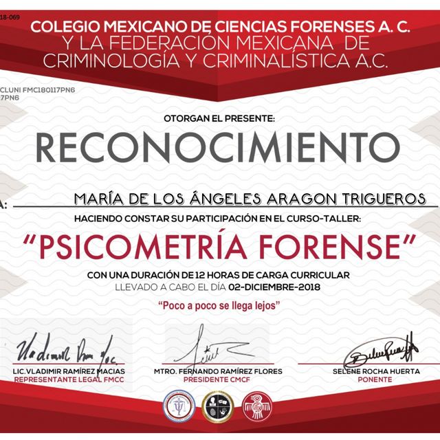 Ampliar imagen: certificate 3