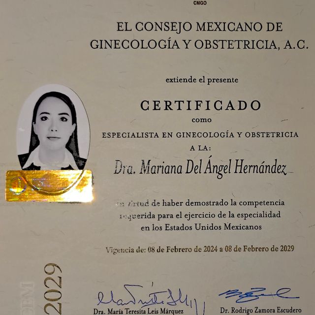 Ampliar imagen: certificate 2
