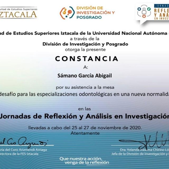 Ampliar imagen: certificate 10
