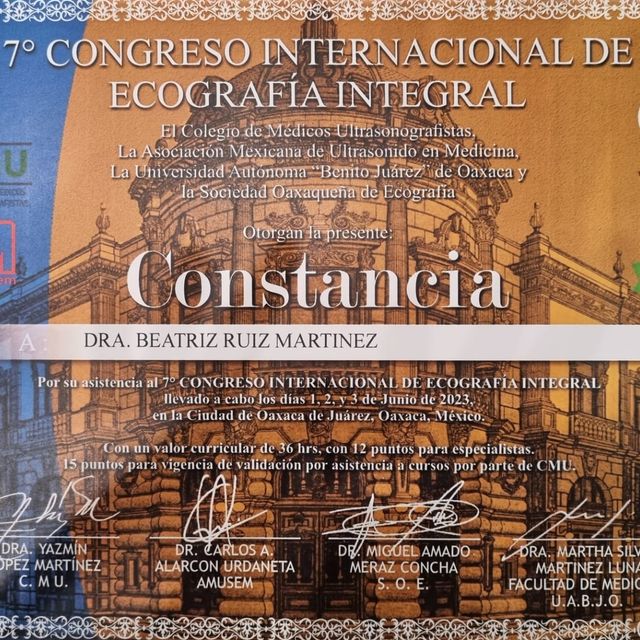 Ampliar imagen: certificate 12