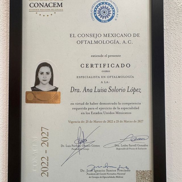 Ampliar imagen: certificate 4