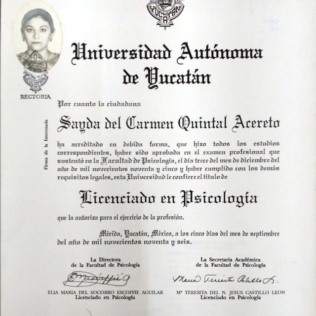Ampliar imagen: certificate 2