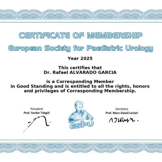 Ampliar imagen: certificate 8