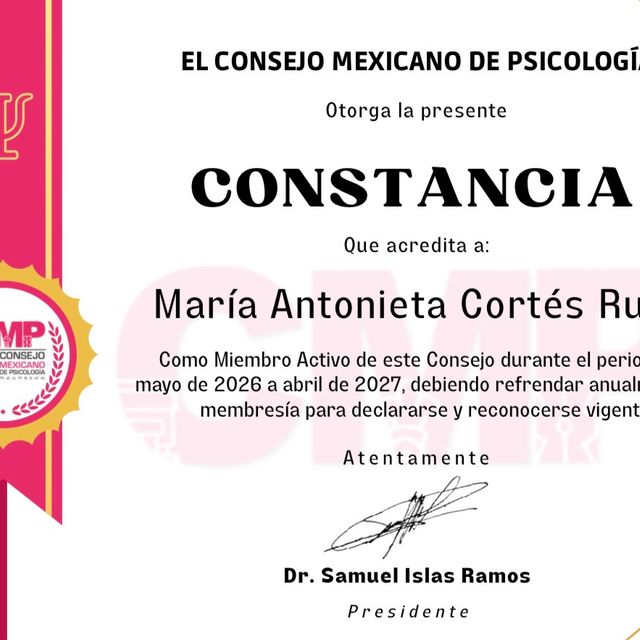 Ampliar imagen: certificate 13