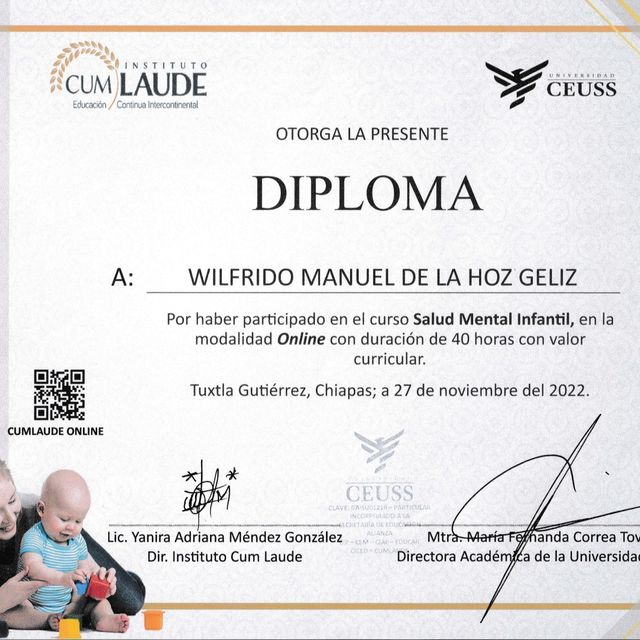 Ampliar imagen: certificate 4