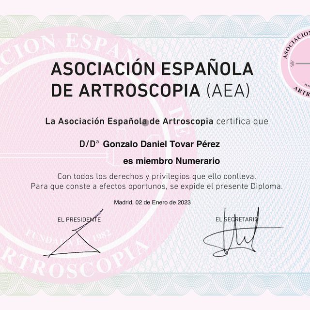 Ampliar imagen: certificate 1