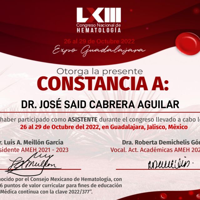 Ampliar imagen: certificate 17