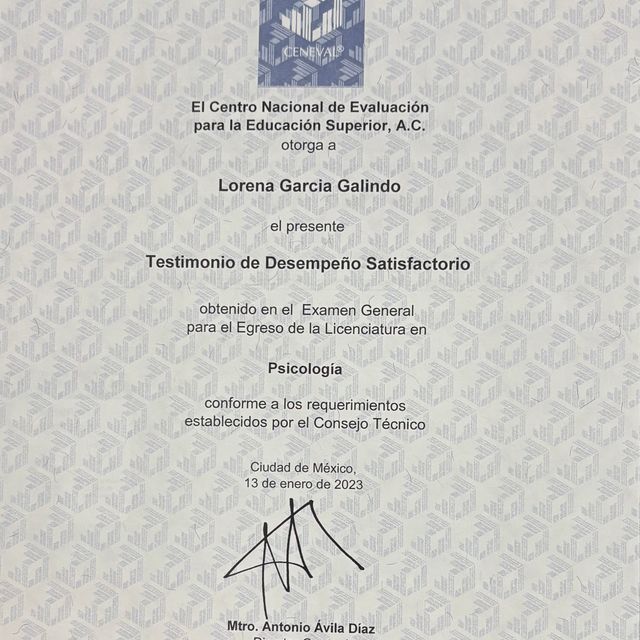 Ampliar imagen: certificate 8