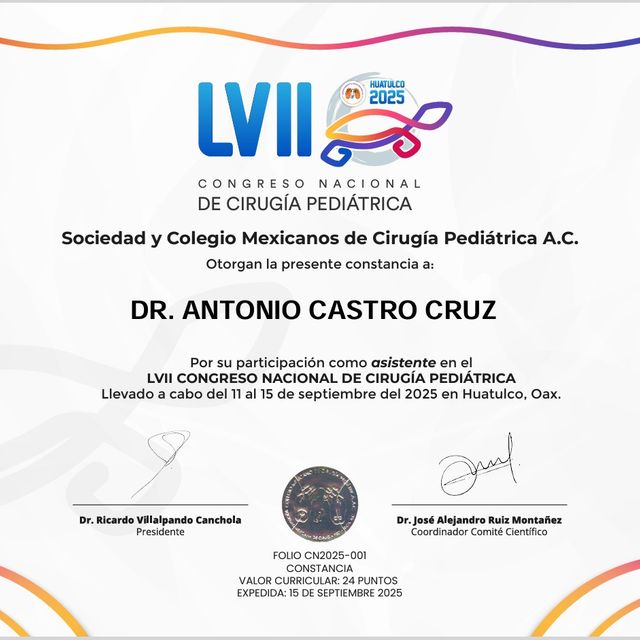 Ampliar imagen: certificate 4