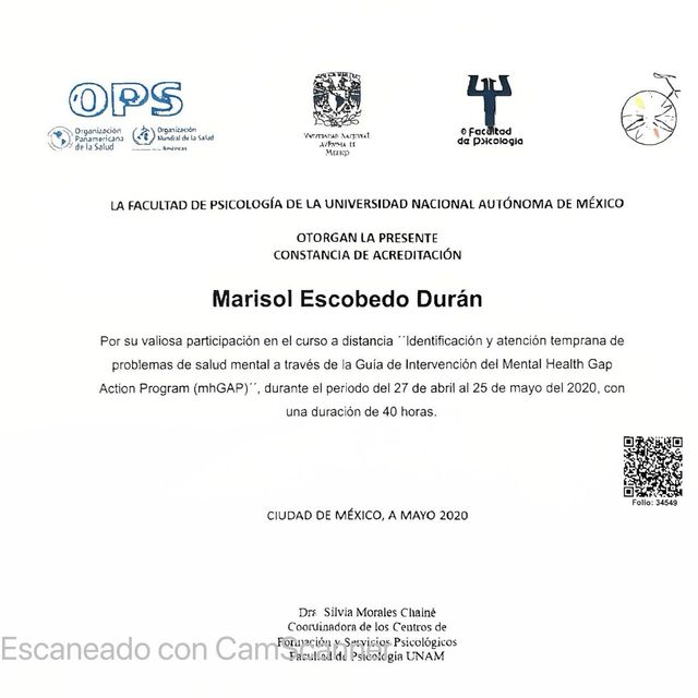 Ampliar imagen: certificate 1