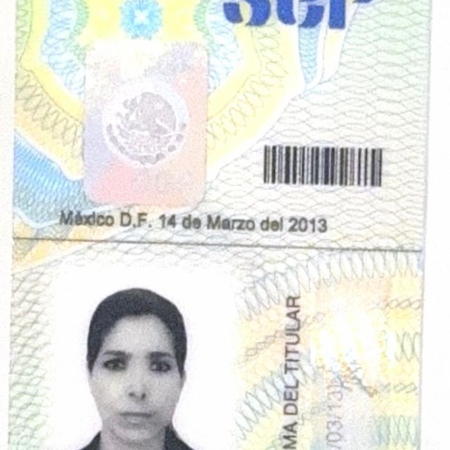 Ampliar imagen: certificate 4