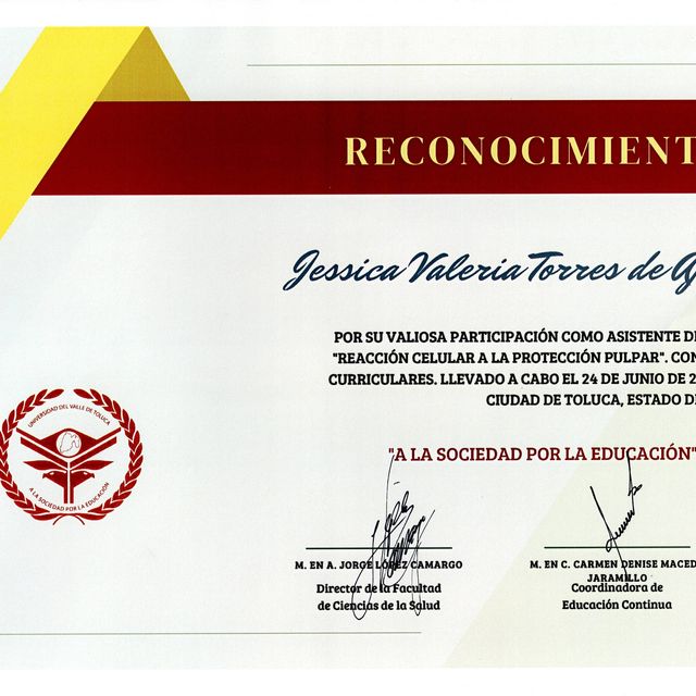 Ampliar imagen: certificate 11