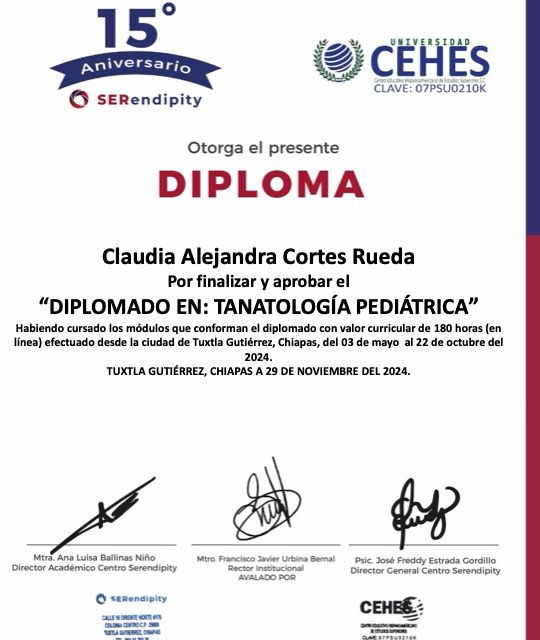 Ampliar imagen: certificate 4