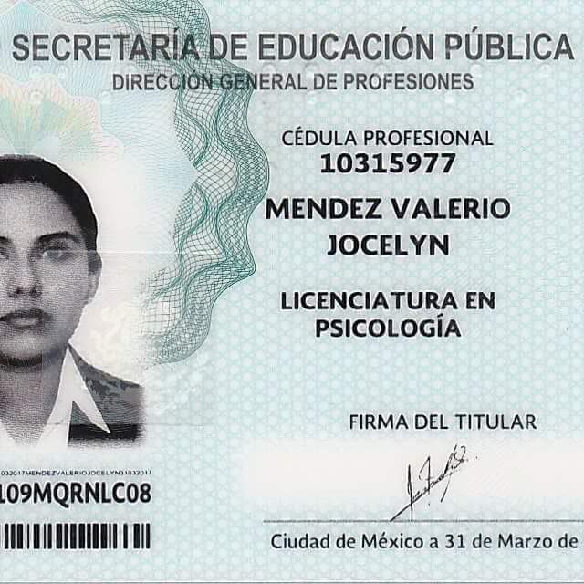 Ampliar imagen: certificate 2