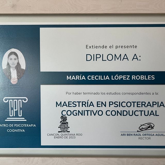 Ampliar imagen: certificate 4