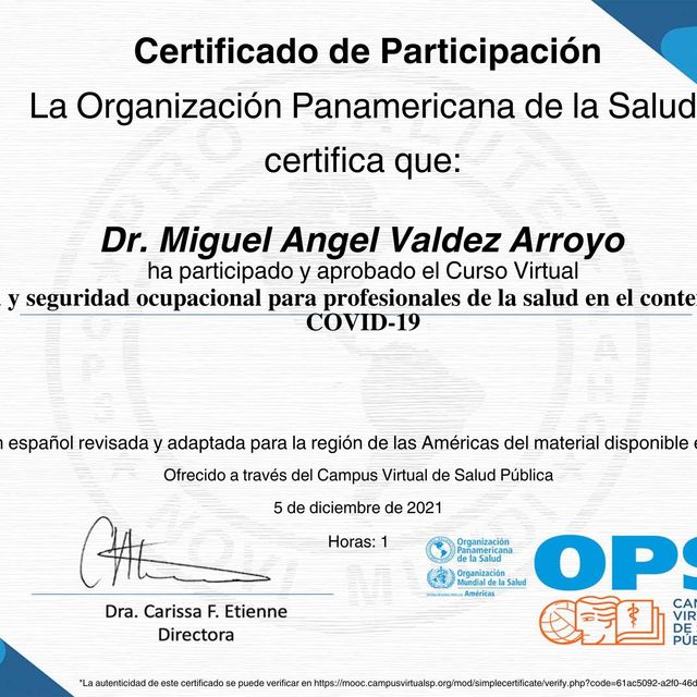 Ampliar imagen: certificate 3