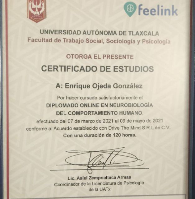 Ampliar imagen: certificate 7