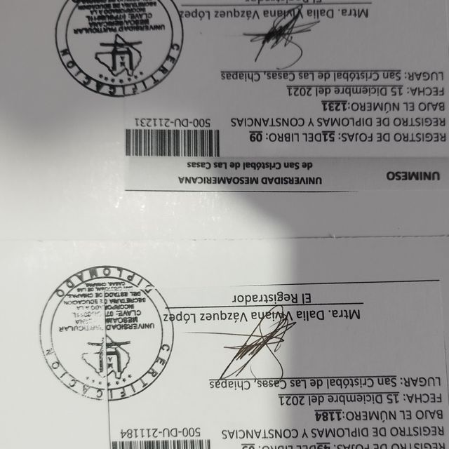 Ampliar imagen: certificate 6