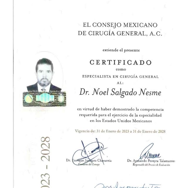 Ampliar imagen: certificate 2