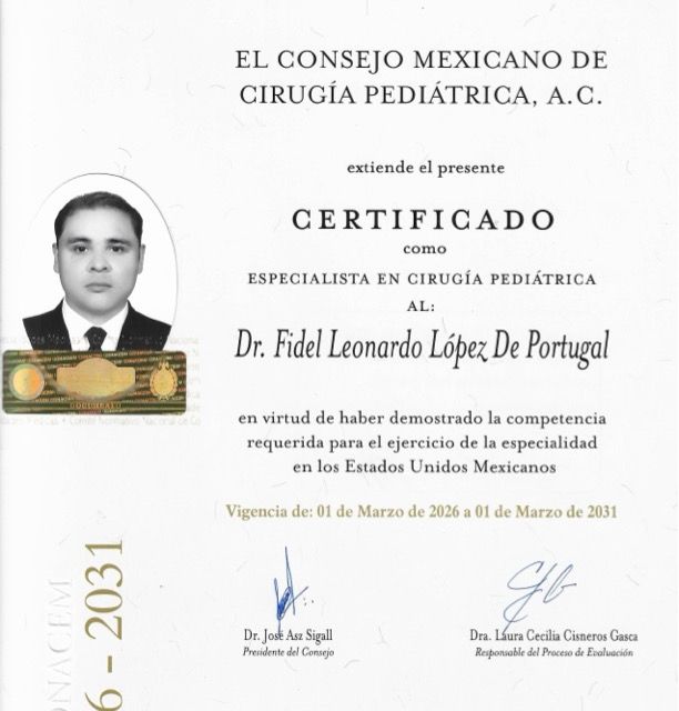 Ampliar imagen: certificate 1