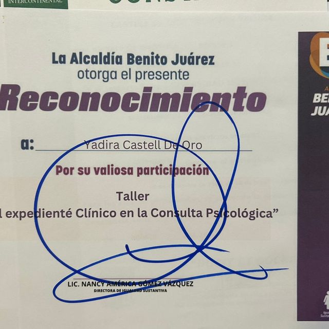 Ampliar imagen: certificate 7