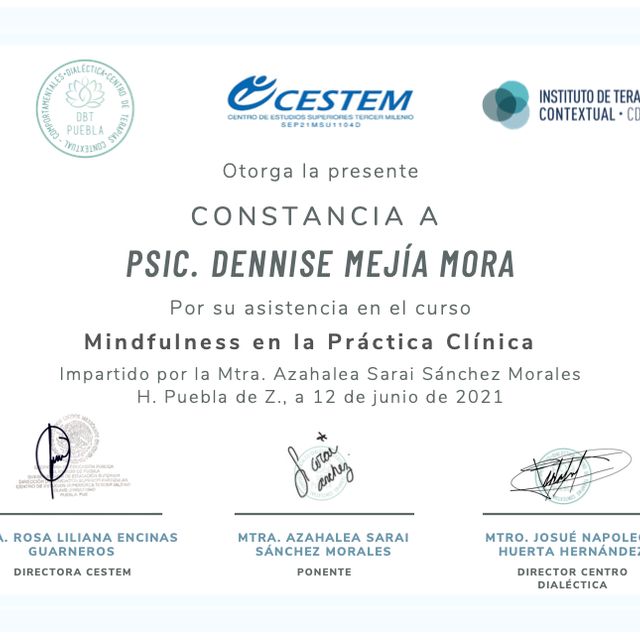 Ampliar imagen: certificate 4