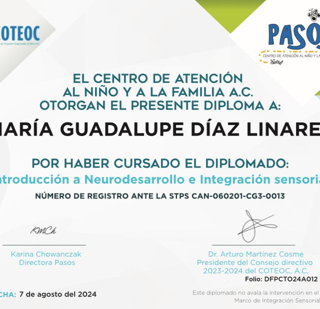 Ampliar imagen: certificate 1