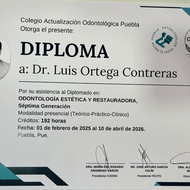 Ampliar imagen: certificate 4