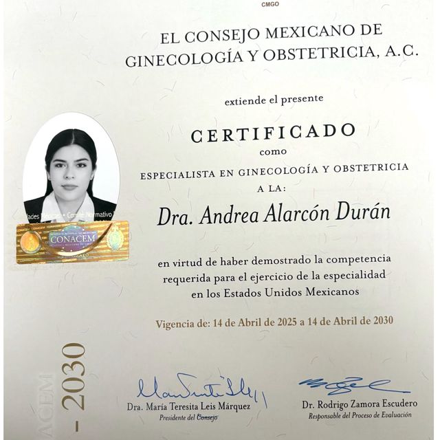 Ampliar imagen: certificate 1