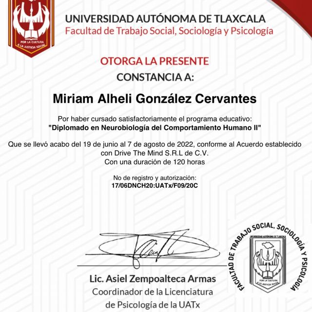 Ampliar imagen: certificate 17