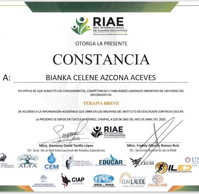 Ampliar imagen: certificate 1