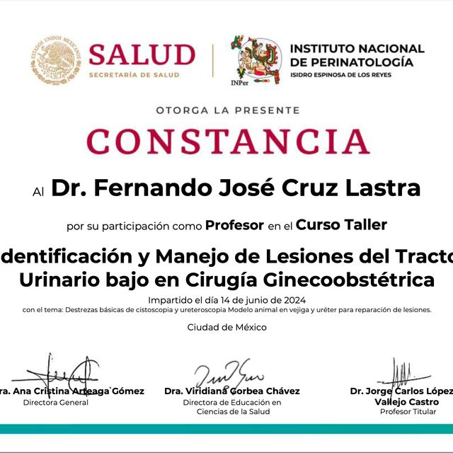Ampliar imagen: certificate 2