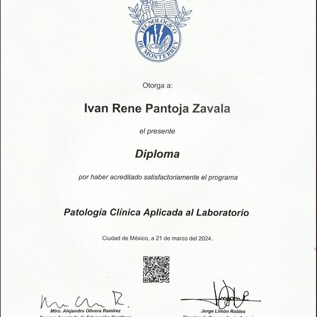 Ampliar imagen: certificate 3
