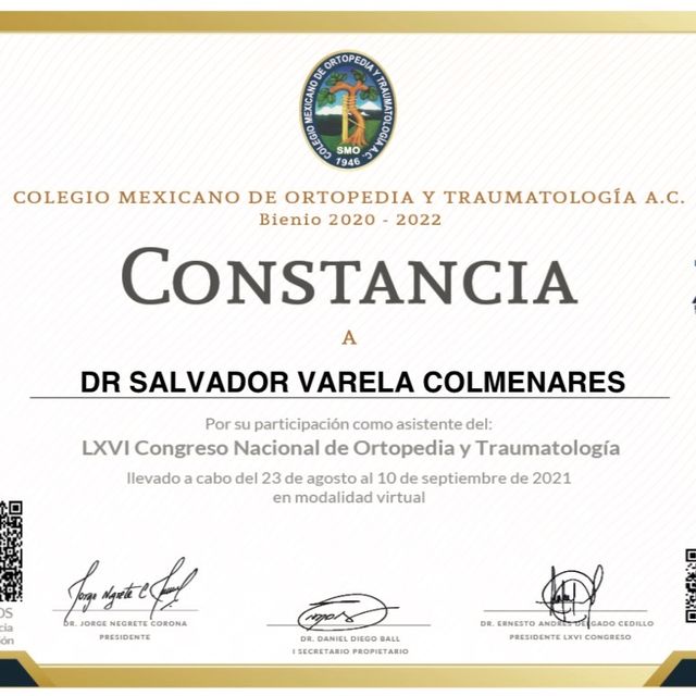 Ampliar imagen: certificate 20